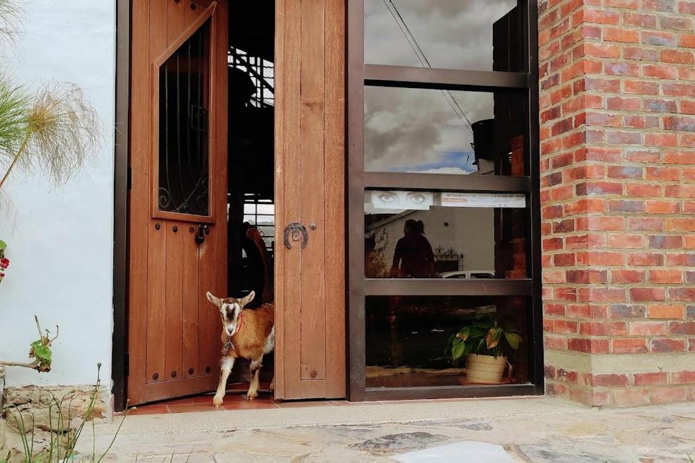 Cabanas & Glamping De Ruana Por Boyaca Paipa Buitenkant foto