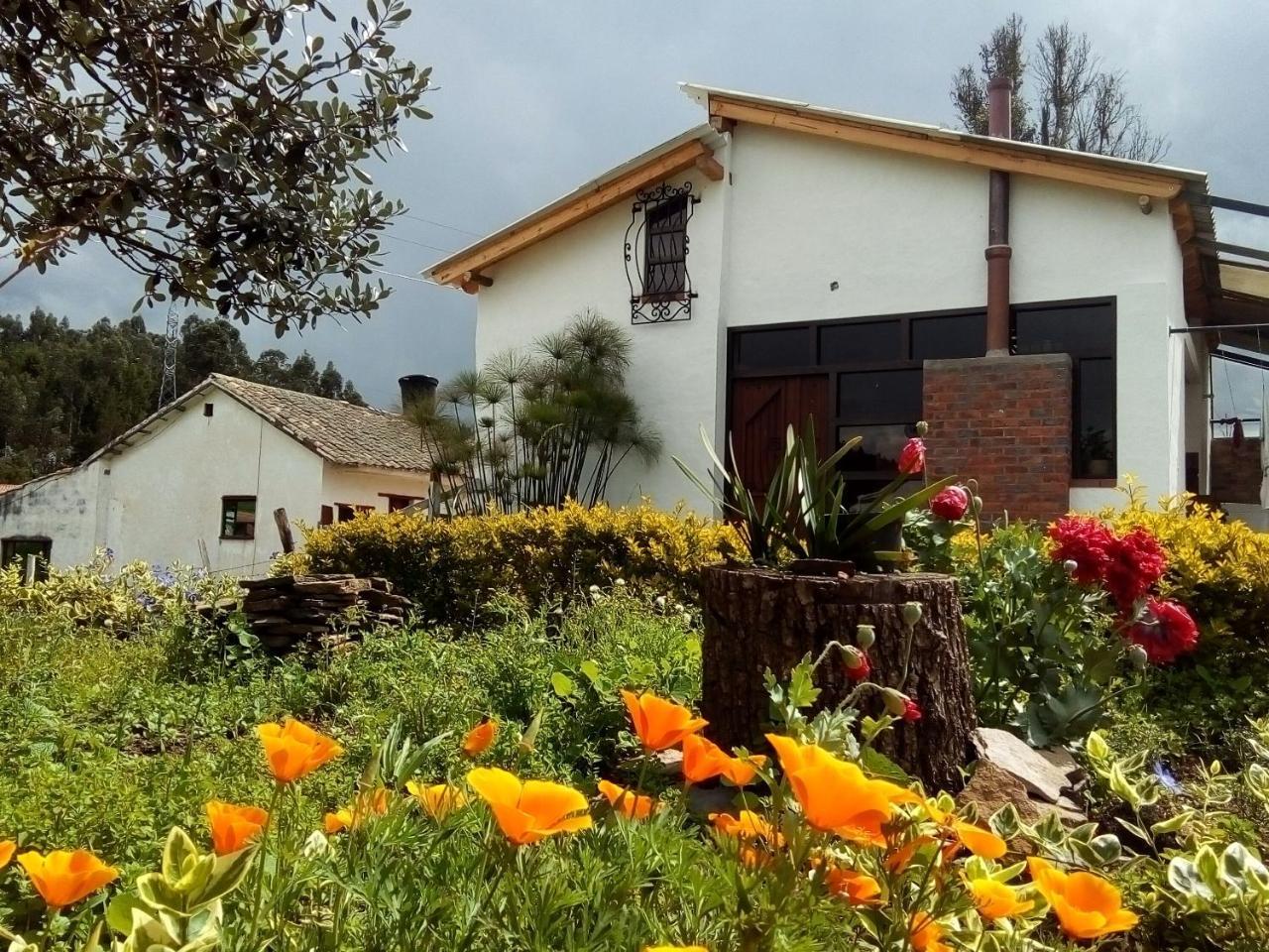 Cabanas & Glamping De Ruana Por Boyaca Paipa Buitenkant foto